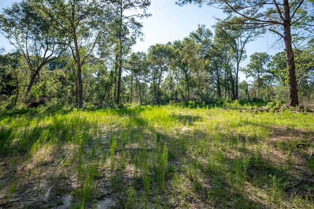 tbd C R 3000, Woodville, TX 75979 - photo 8