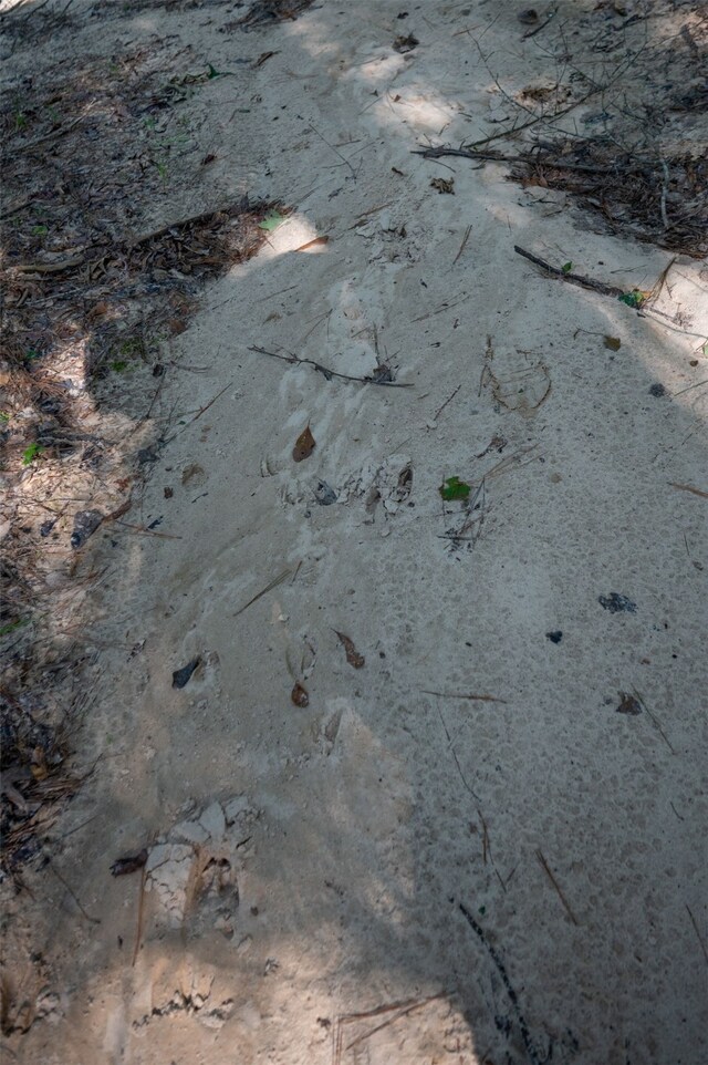 tbd C R 3000, Woodville, TX 75979 - photo 16