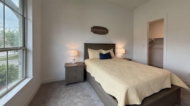 bedroom with carpet floors, baseboards, a spacious closet, and a closet
