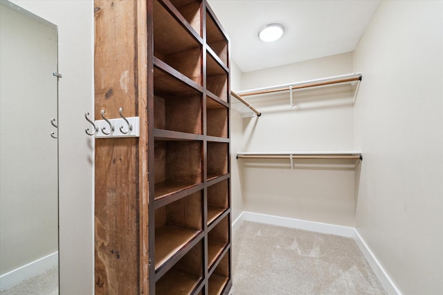 walk in closet with carpet flooring