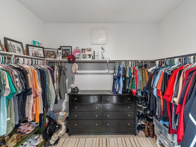 walk in closet featuring carpet flooring