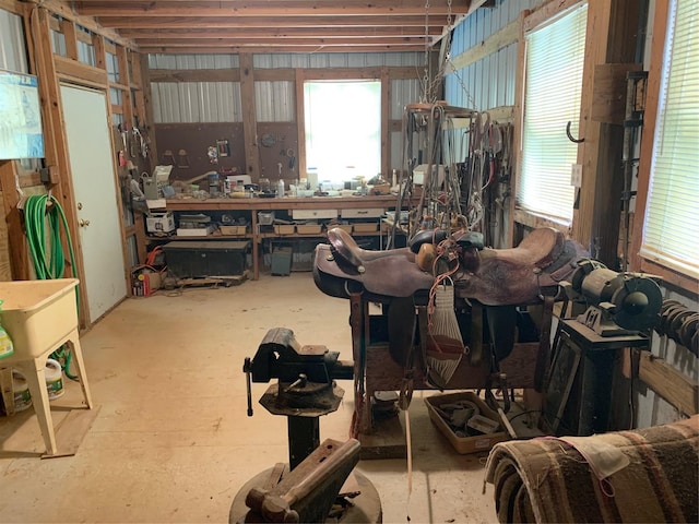 miscellaneous room with plenty of natural light and a workshop area
