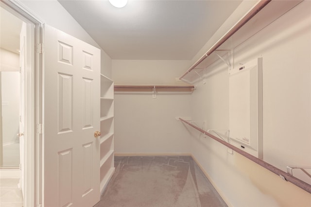 spacious closet featuring carpet floors