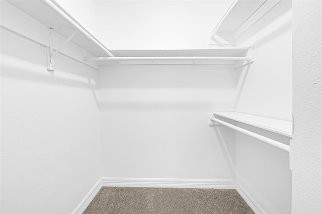 6326 Cambridge Glen Ln, Houston, TX 77035 - walk in closet with carpet