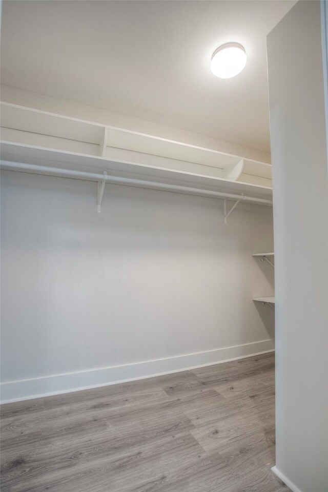 spacious closet featuring wood finished floors
