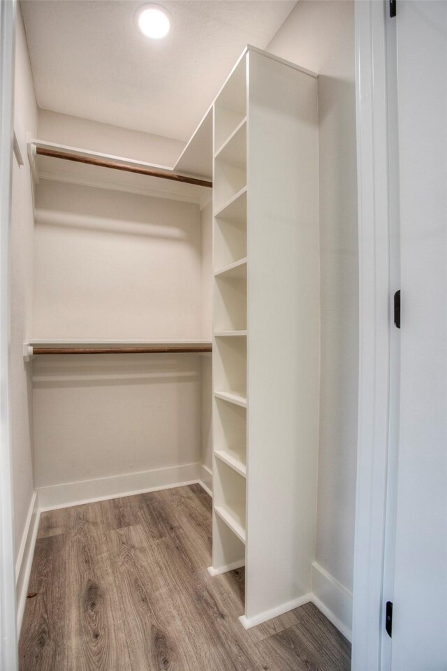 walk in closet featuring wood finished floors