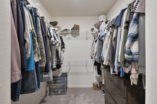 walk in closet with carpet flooring