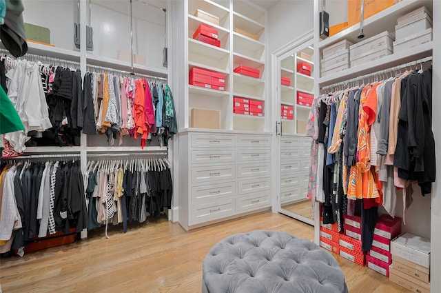 spacious closet with light wood-type flooring