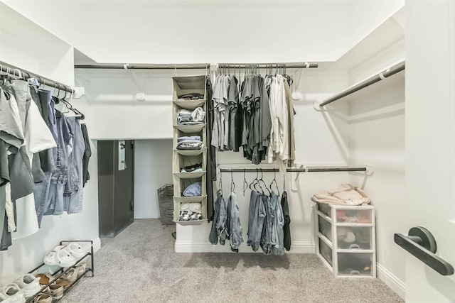 spacious closet featuring carpet floors