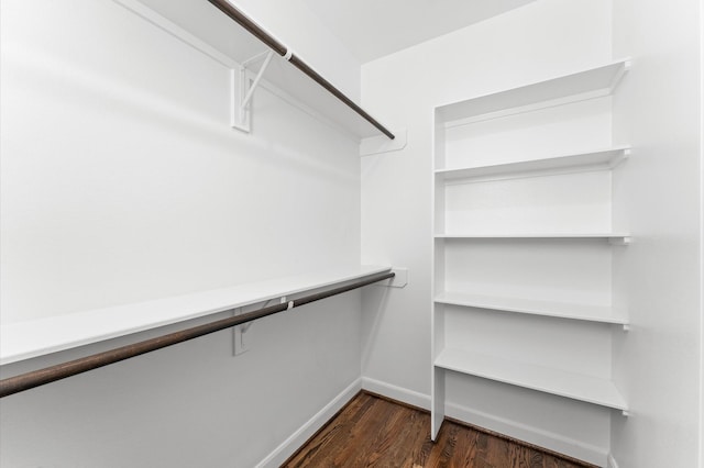 walk in closet with dark wood-style floors