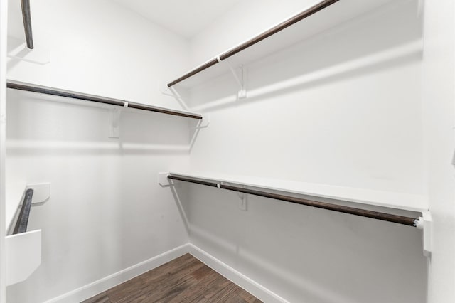 spacious closet featuring dark wood-style flooring
