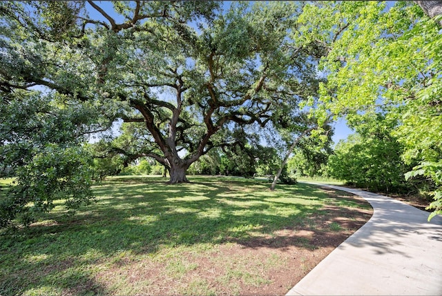 8818 Laurel Crest Dr, Missouri City, TX 77459 - view of yard
