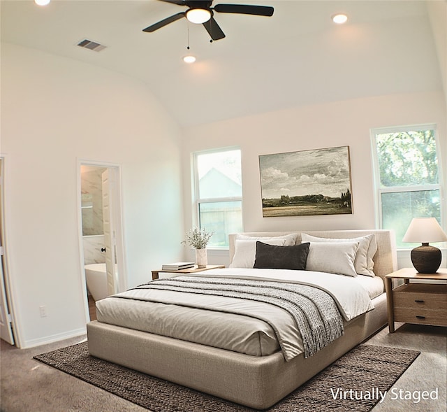 24994 Armagh St, Hempstead, TX 77445 - bedroom featuring carpet flooring, multiple windows, lofted ceiling, ensuite bath, and recessed lighting