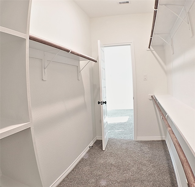 24994 Armagh St, Hempstead, TX 77445 - walk in closet featuring carpet