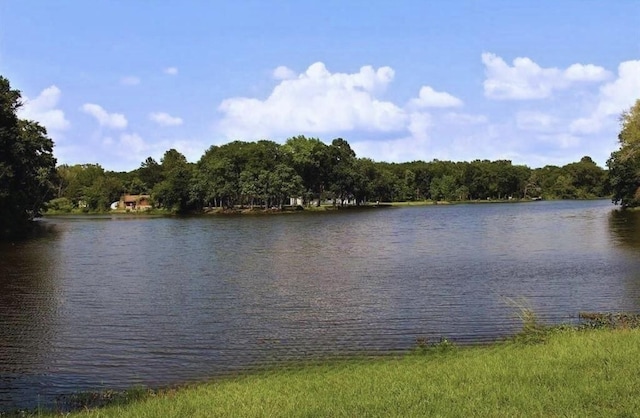 24994 Armagh St, Hempstead, TX 77445 - water view with a heavily wooded area