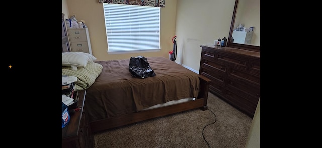 115 Shadow Springs Trl, Magnolia, TX 77354 - bedroom with carpet