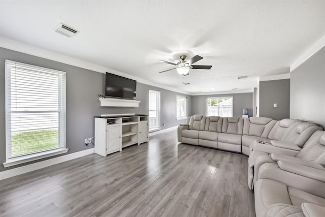 3626 Lake Breeze Ln, Crosby, TX 77532 - living room with light wood-type flooring, baseboards, visible vents, a ceiling fan, and ornamental molding