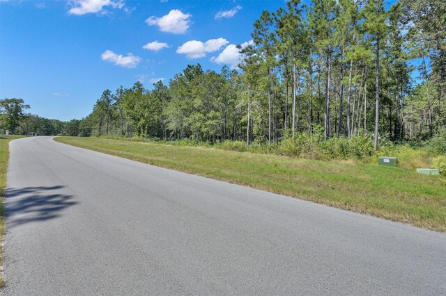 10515 Chapter Dr, Willis, TX 77378 - photo 4