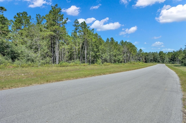 10515 Chapter Dr, Willis, TX 77378 - photo 6
