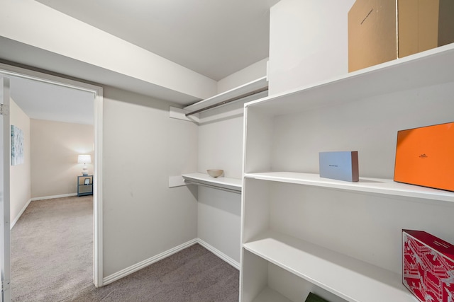 walk in closet with carpet flooring