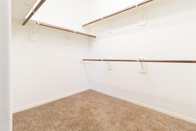 21527 Cotton Valley Ln, Porter, TX 77365 - walk in closet featuring carpet