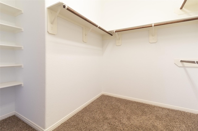 21527 Cotton Valley Ln, Porter, TX 77365 - spacious closet with carpet floors