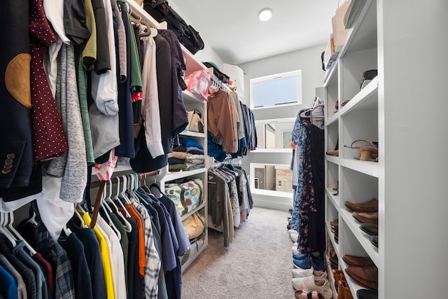 spacious closet featuring carpet flooring