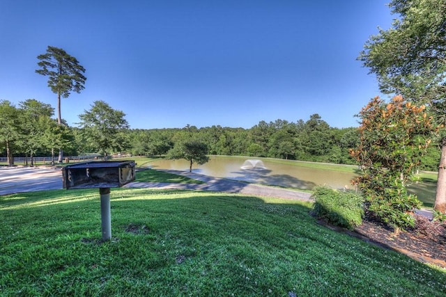 10308 Paradise Vly, Conroe, TX 77304 - photo 41