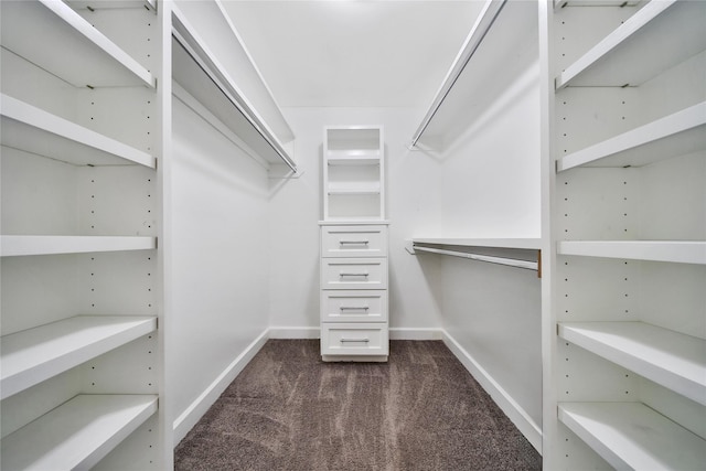 818 Wax Myrtle Ln, Houston, TX 77079 - walk in closet featuring dark carpet