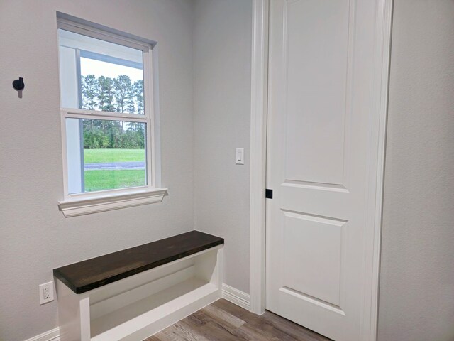 20 Lazy Spgs, Trinity, TX 75862 - mudroom with baseboards, dark wood-style flooring, and plenty of natural light