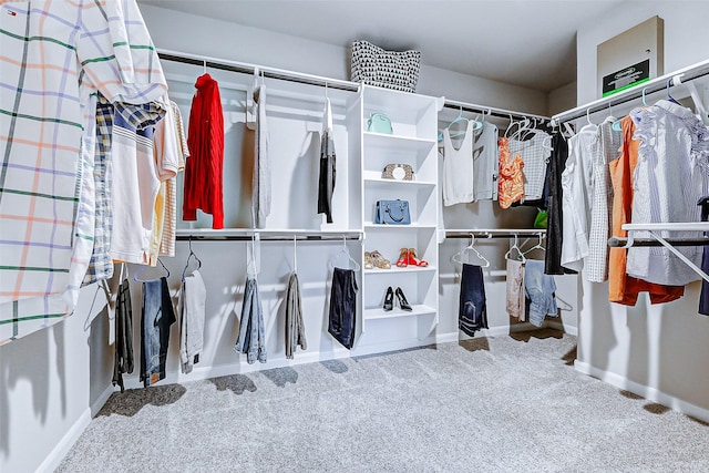 spacious closet featuring carpet floors