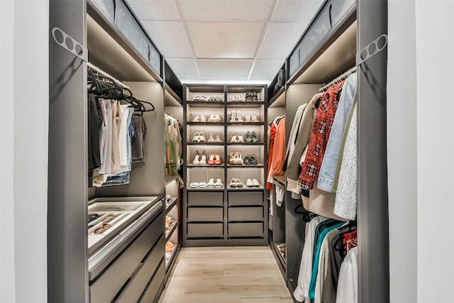 spacious closet with light wood finished floors and a drop ceiling
