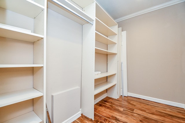 spacious closet with wood finished floors