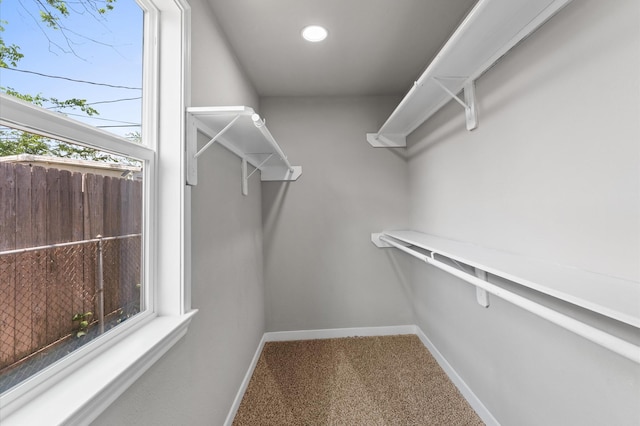 spacious closet with carpet