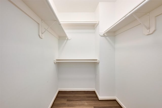 1842 Lake Winds, Missouri City, TX 77459 - walk in closet with dark wood-style floors