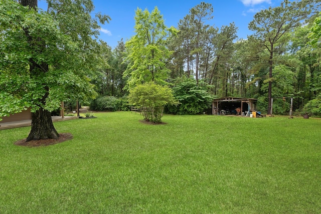 25672 Magnolia Pines Dr, Magnolia, TX 77355 - view of grassy yard