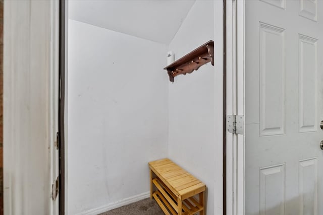 1201 Bering Dr Unit 28, Houston, TX 77057 - mudroom with carpet flooring and baseboards