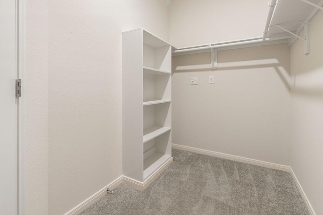 walk in closet with carpet