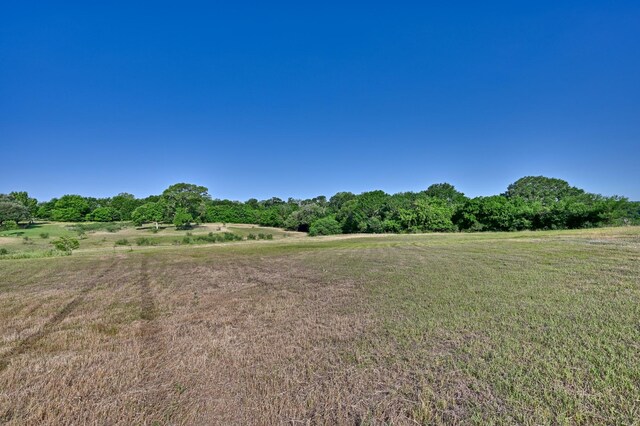 2917 Twisted Oak Dr, Brenham, TX 77833 - photo 3