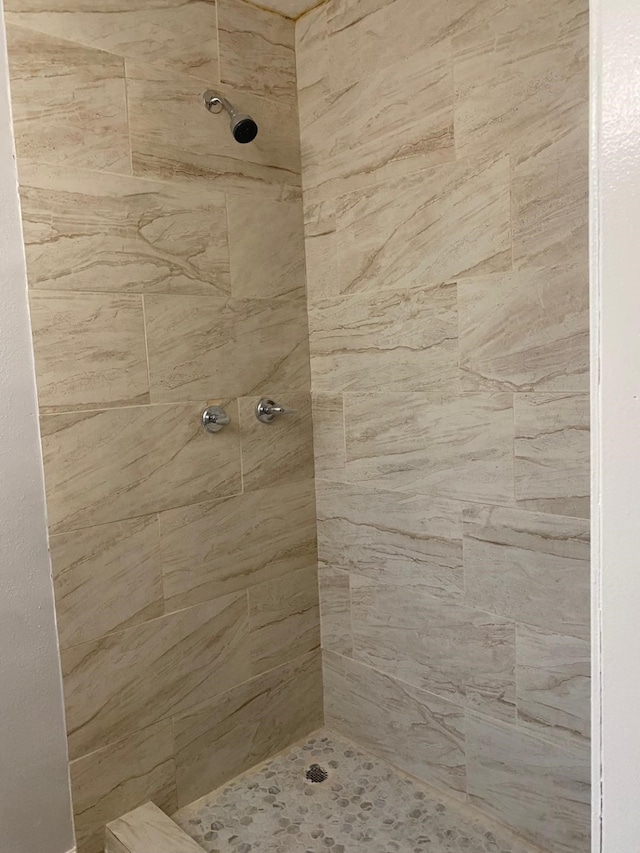 14418 Alkay St, Houston, TX 77045 - bathroom featuring a tile shower