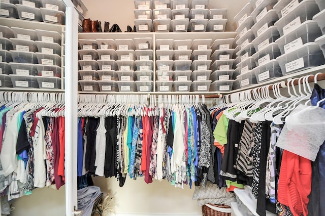 view of spacious closet