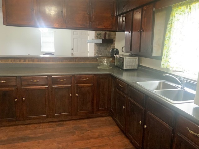 kitchen with plenty of natural light, dark wood-style floors, dark brown cabinetry, and a sink