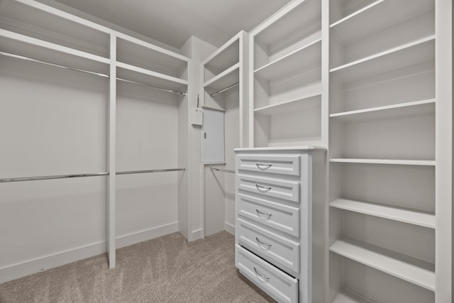 5212 Lillian St, Houston, TX 77007 - walk in closet with light carpet