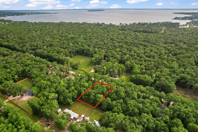 606 Moonbeam Ln, Livingston, TX 77351