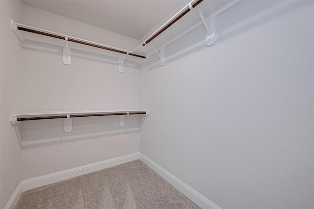 walk in closet featuring carpet flooring