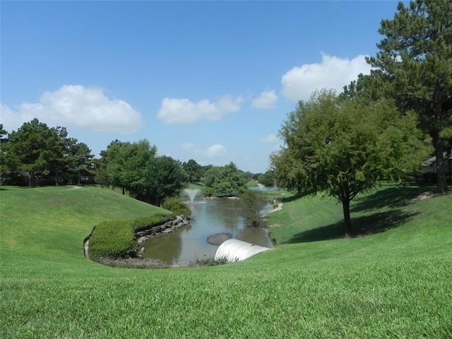 15242 Shapiro Springs Ln, Houston, TX 77095 - surrounding community with a yard and a water view