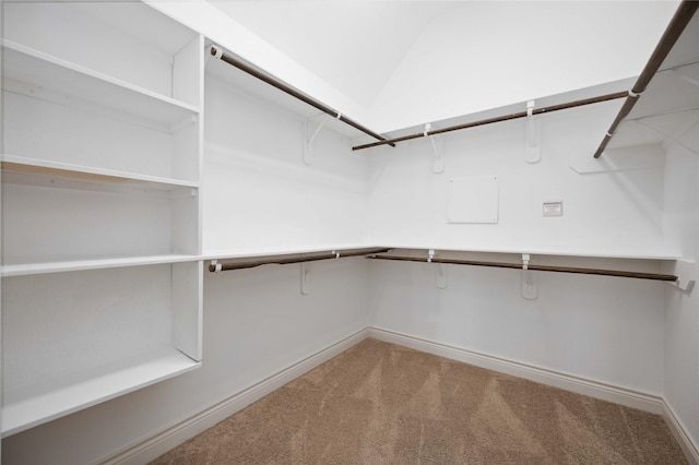 walk in closet with carpet floors