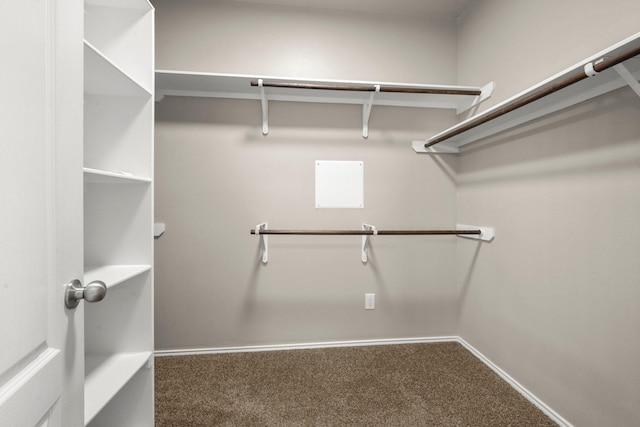 spacious closet with carpet