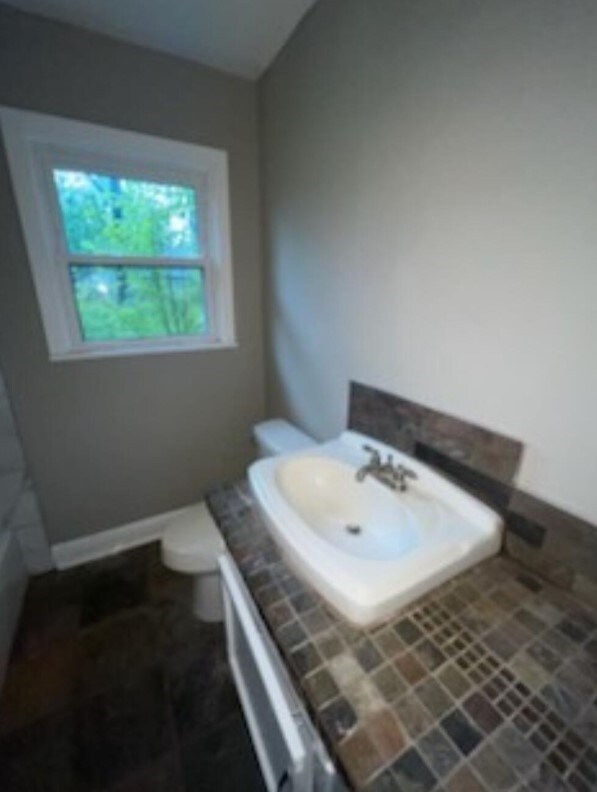 bathroom featuring toilet and vanity