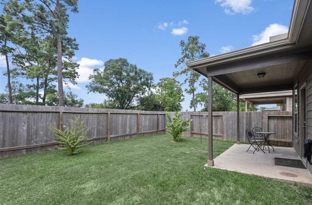 view of yard featuring a fenced backyard and a patio